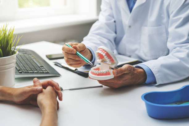 Professional Dental Services in Sugarmill Woods, FL